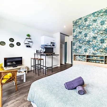 Le Guerin Cosy Studio 2 Pers Tete D'or